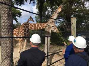 fort-worth-zoo