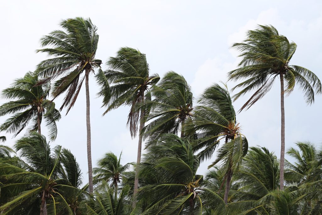 Hurricane Milton Is Growing Stronger As It Blows Toward Florida’s Tampa ...